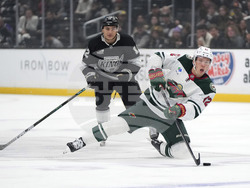Wild Kings Hockey