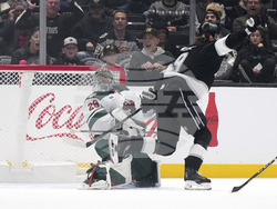 Wild Kings Hockey