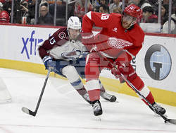 Avalanche Red Wings Hockey