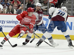 Avalanche Red Wings Hockey