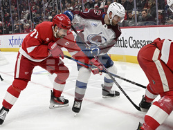 Avalanche Red Wings Hockey