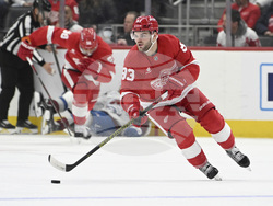 Avalanche Red Wings Hockey