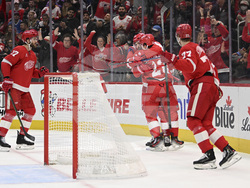 Avalanche Red Wings Hockey