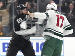 Wild Kings Hockey