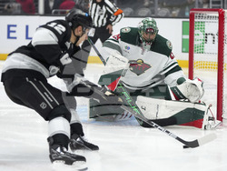 Wild Kings Hockey