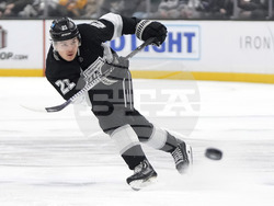 Wild Kings Hockey