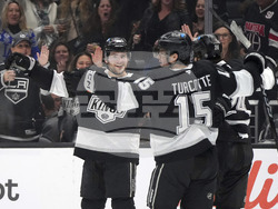 Wild Kings Hockey