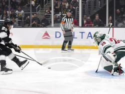 Wild Kings Hockey
