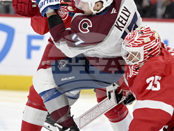 Avalanche Red Wings Hockey