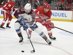 Avalanche Red Wings Hockey