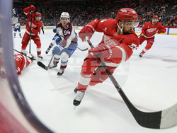 Avalanche Red Wings Hockey