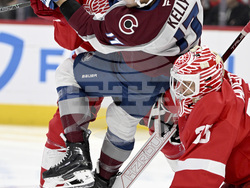 Avalanche Red Wings Hockey