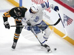 Maple Leafs Penguins Hockey