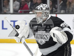 Wild Kings Hockey