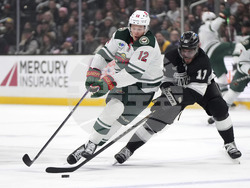 Wild Kings Hockey