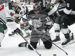 Wild Kings Hockey