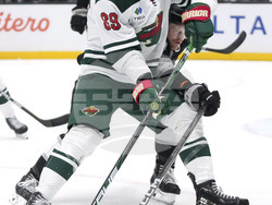 Wild Kings Hockey