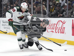 Wild Kings Hockey