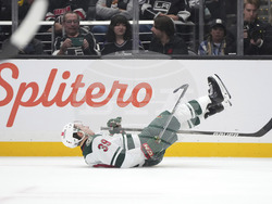 Wild Kings Hockey