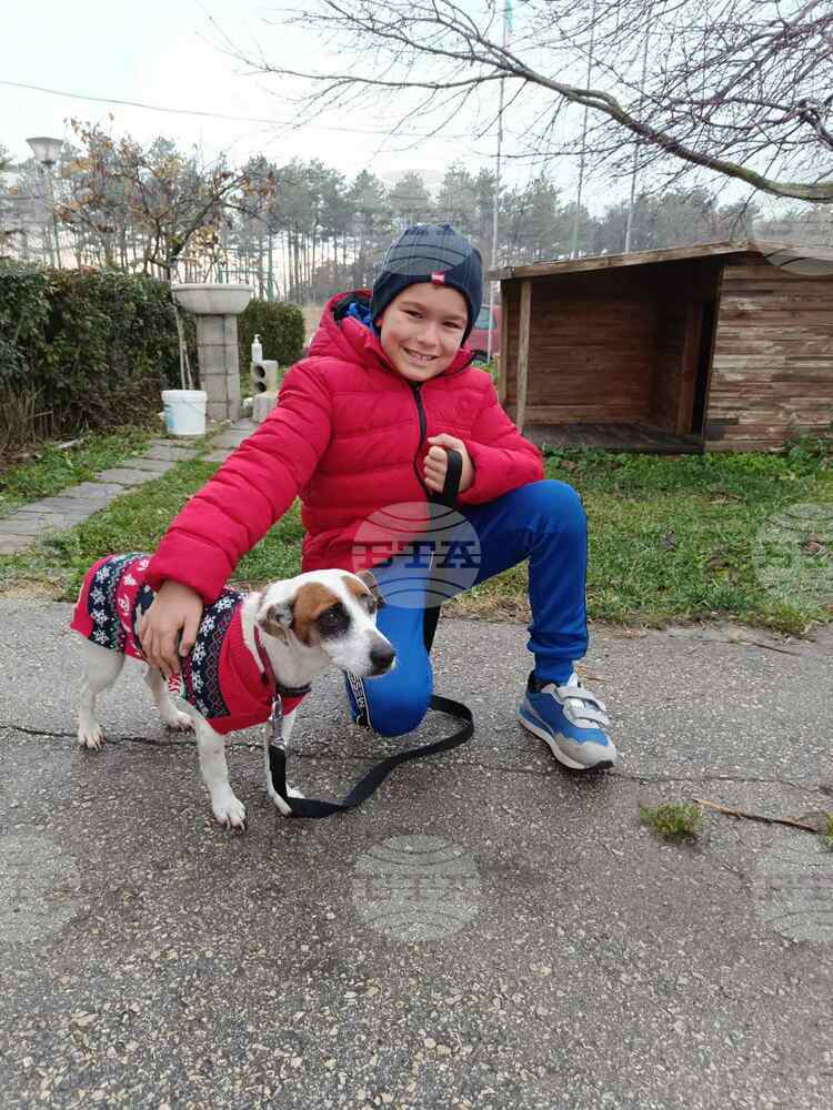 Община Варна: Две кученца от приюта в с. Каменар намериха своите стопани след кампанията „(НЕ) сам вкъщи“