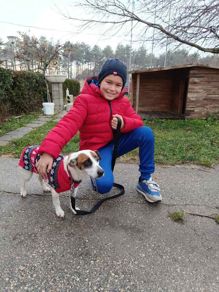 Община Варна: Две кученца от приюта в с. Каменар намериха своите стопани след кампанията „(НЕ) сам вкъщи“