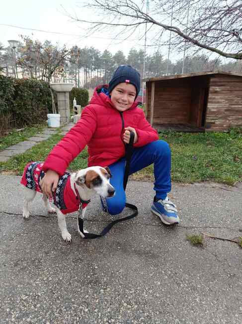 Община Варна: Две кученца от приюта в с. Каменар намериха своите стопани след кампанията „(НЕ) сам вкъщи“