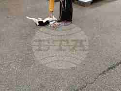 Снимка: Община Варна