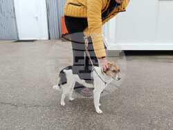 Снимка: Община Варна