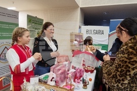 Румъния - Коледен дипломатически благотворителен базар в Букурещ - Български щанд