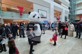 Румъния - Коледен дипломатически благотворителен базар в Букурещ