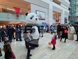 Румъния - Коледен дипломатически благотворителен базар в Букурещ