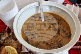 Видин - екскурзоводи - инфотур