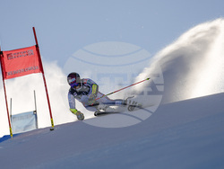 WCup Mens Giant Slalom Skiing