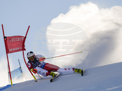 WCup Mens Giant Slalom Skiing