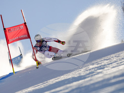 WCup Mens Giant Slalom Skiing