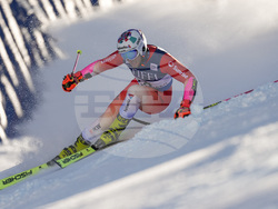 WCup Mens Giant Slalom Skiing