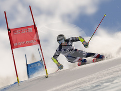 WCup Mens Giant Slalom Skiing