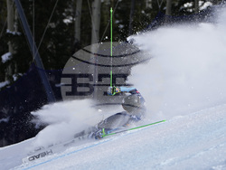 WCup Mens Giant Slalom Skiing