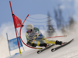 WCup Mens Giant Slalom Skiing