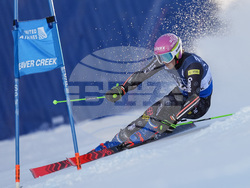 WCup Mens Giant Slalom Skiing