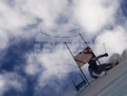 APTOPIX WCup Mens Giant Slalom Skiing