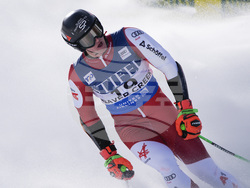 WCup Mens Giant Slalom Skiing