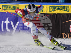 WCup Mens Giant Slalom Skiing