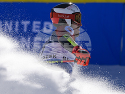WCup Mens Giant Slalom Skiing