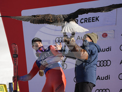 WCup Mens Giant Slalom Skiing