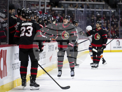 Islanders Senators Hockey