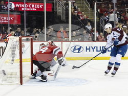 Avalanche Devils Hockey