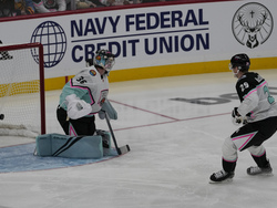 NHL All Star Hockey