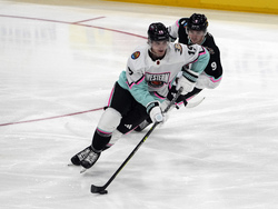 NHL All Star Hockey
