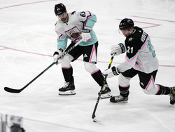 NHL All Star Hockey